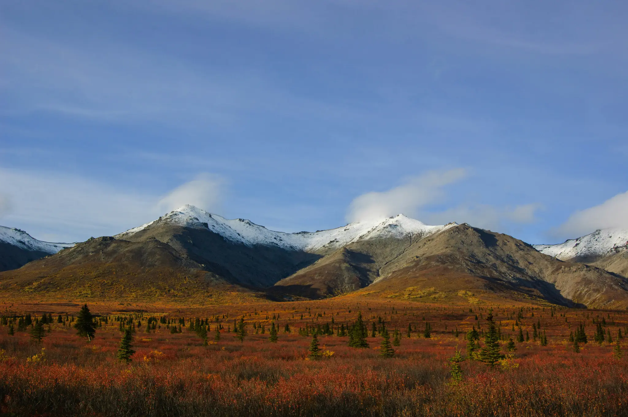 Ett brett landskapsfoto visar snötäckta berg under en blå himmel, med utsikt över ett fält med rött och orange höstlöv.