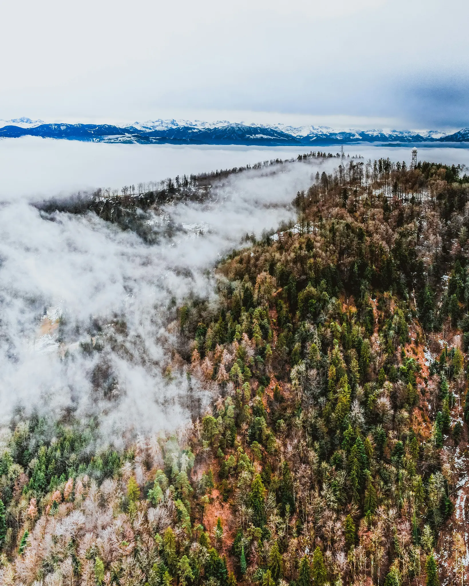 An aerial view shows a dense forest on a hillside, with white mist swirling through the trees and a range of snow-capped…