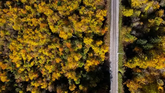 An aerial photograph shows a straight railway track running vertically through a vibrant autumn forest of yellow and orange…