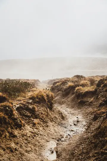 Ein schmaler, schlammiger Pfad durchschneidet eine Landschaft aus braunem und grünem Gras unter einem dichten, weißen
