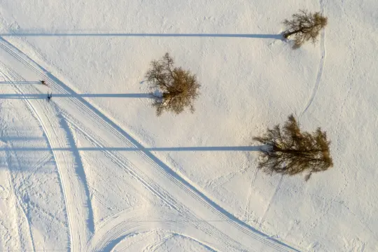 An aerial view of a snow-covered field with three bare trees casting long shadows and two people cross-country skiing.