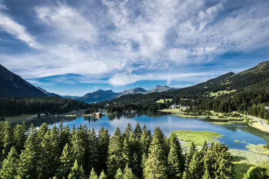 A panoramic view of a calm blue lake reflecting the sky, surrounded by lush green pine forests and mountains.