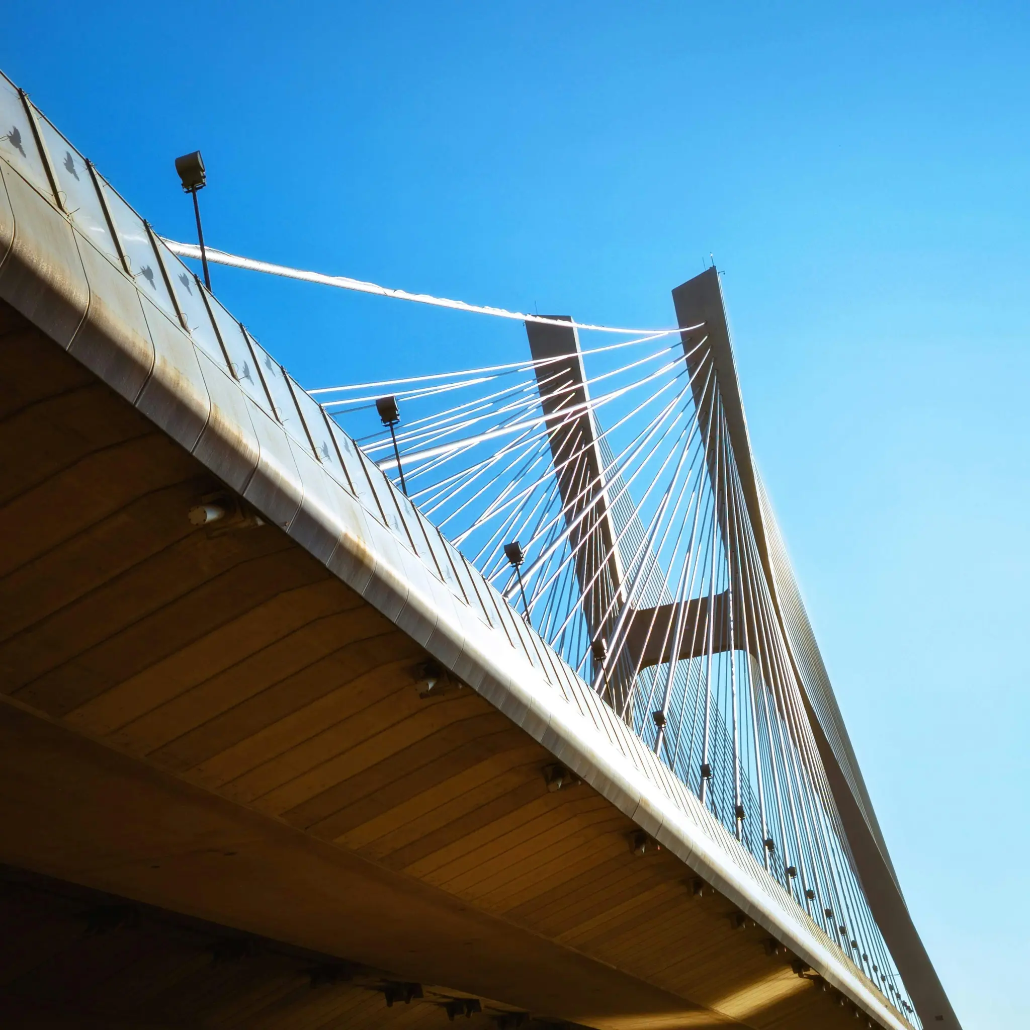 Eine Aufnahme einer Schrägseilbrücke aus niedrigem Winkel. Die Unterseite der Brückenfahrbahn ist braun, mit silbernen
