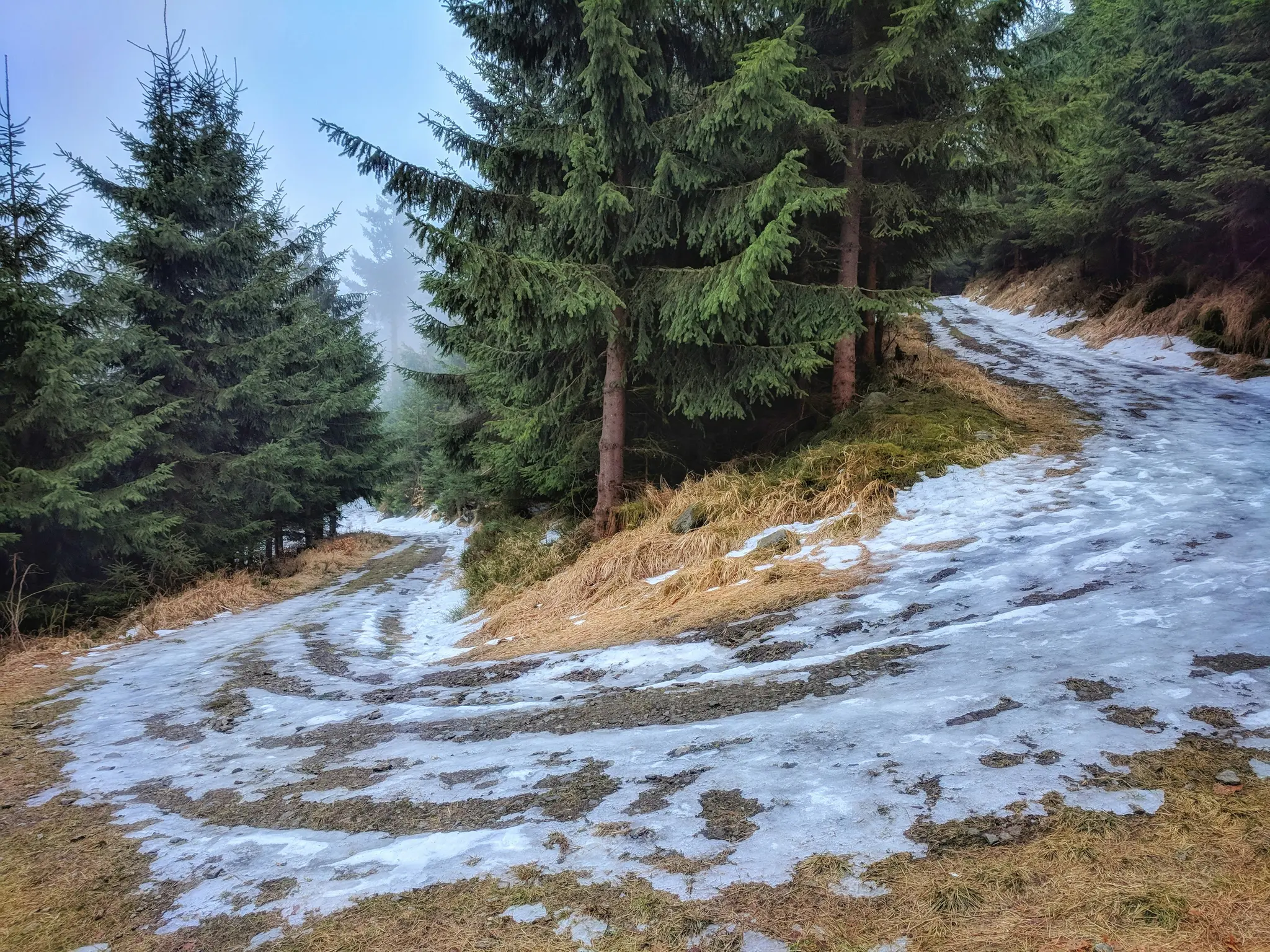 Un camino de tierra sinuoso cubierto de parches de hielo y nieve, flanqueado por altos pinos de color verde oscuro bajo un