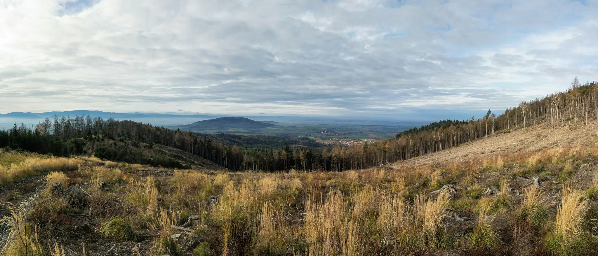 En bred panoramabild av en dal. I förgrunden täcker torrt, gyllene gräs och trädstubbar en avskogad sluttning. Till höger...
