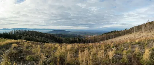 Et bredt panoramabillede af en dal. I forgrunden dækker tørre, gyldne græsser og træstubbe en fældet skråning. Til højre...