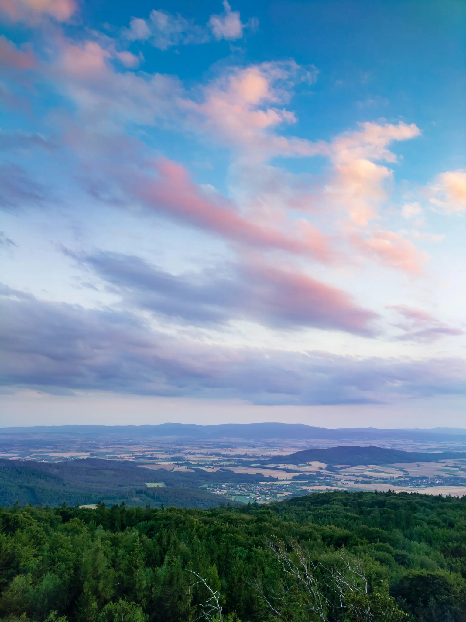 Ein panoramisches Landschaftsfoto, aufgenommen von einem hohen Aussichtspunkt, das eine weite Fläche mit grünen Wäldern