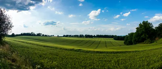 Ein breites Panoramafoto zeigt sanft geschwungene grüne Felder, die sich unter einem blauen Himmel bis zum Horizont mit