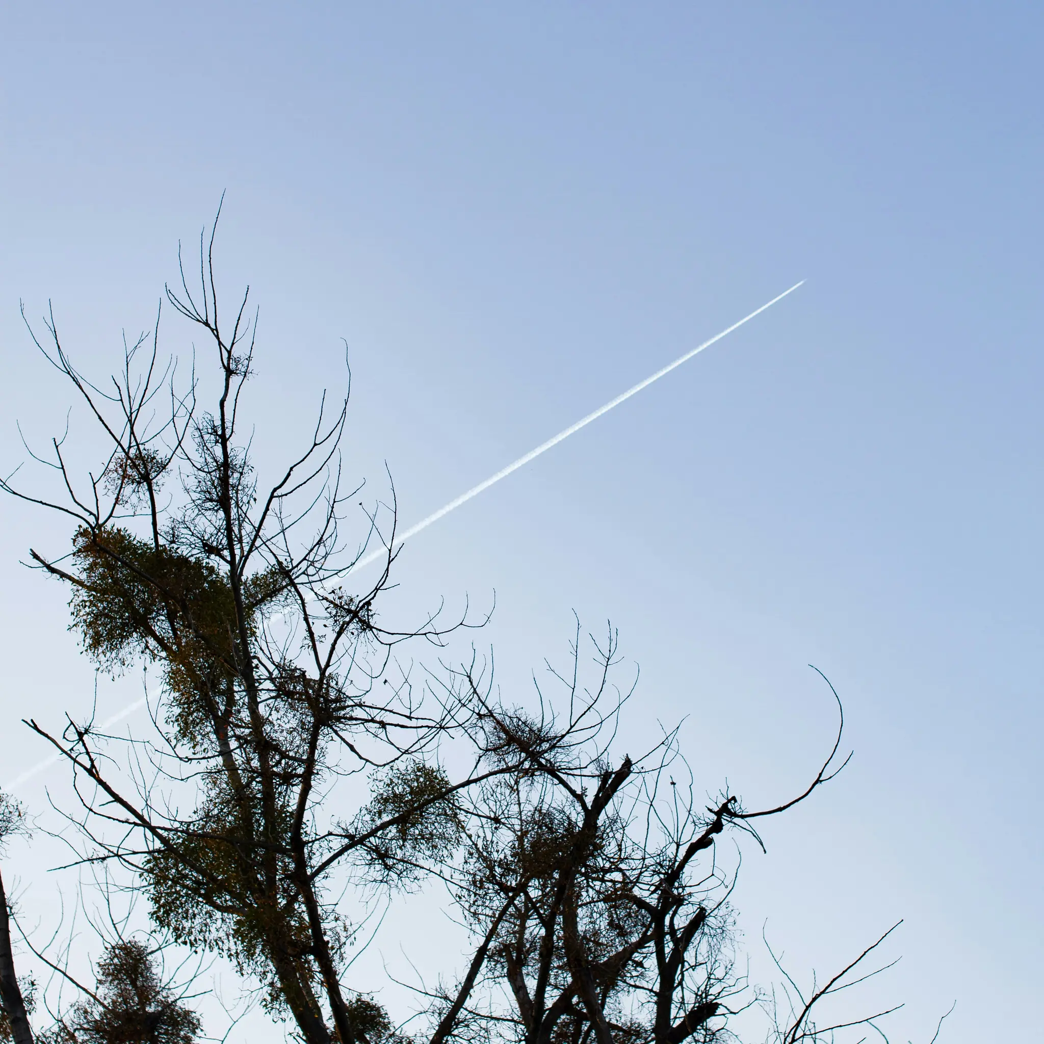 Ein weißer Kondensstreifen eines nicht sichtbaren Flugzeugs kreuzt diagonal einen klaren, hellblauen Himmel über den dunklen