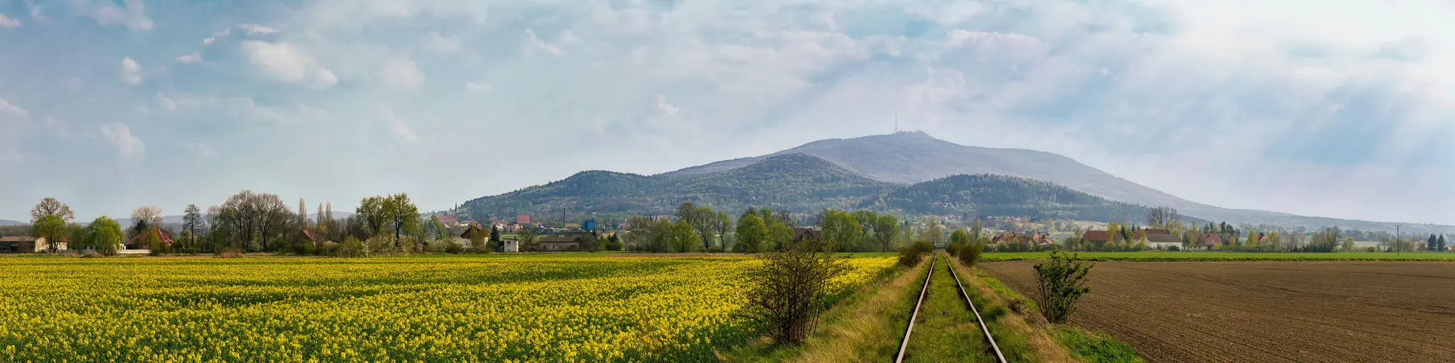 Una toma panorámica amplia de un vibrante campo de colza amarillo en primer plano, con vías de tren que conducen hacia…