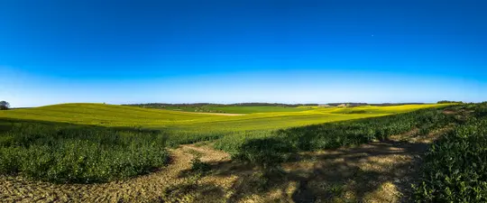 Et bredt panoramabillede af et landligt landskab med rullende bakker. Markerene er en blanding af lyse gule og grønne