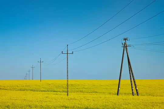 Una vibrante foto de paisaje que muestra un vasto campo de flores amarillas brillantes bajo un cielo azul claro. Una línea de