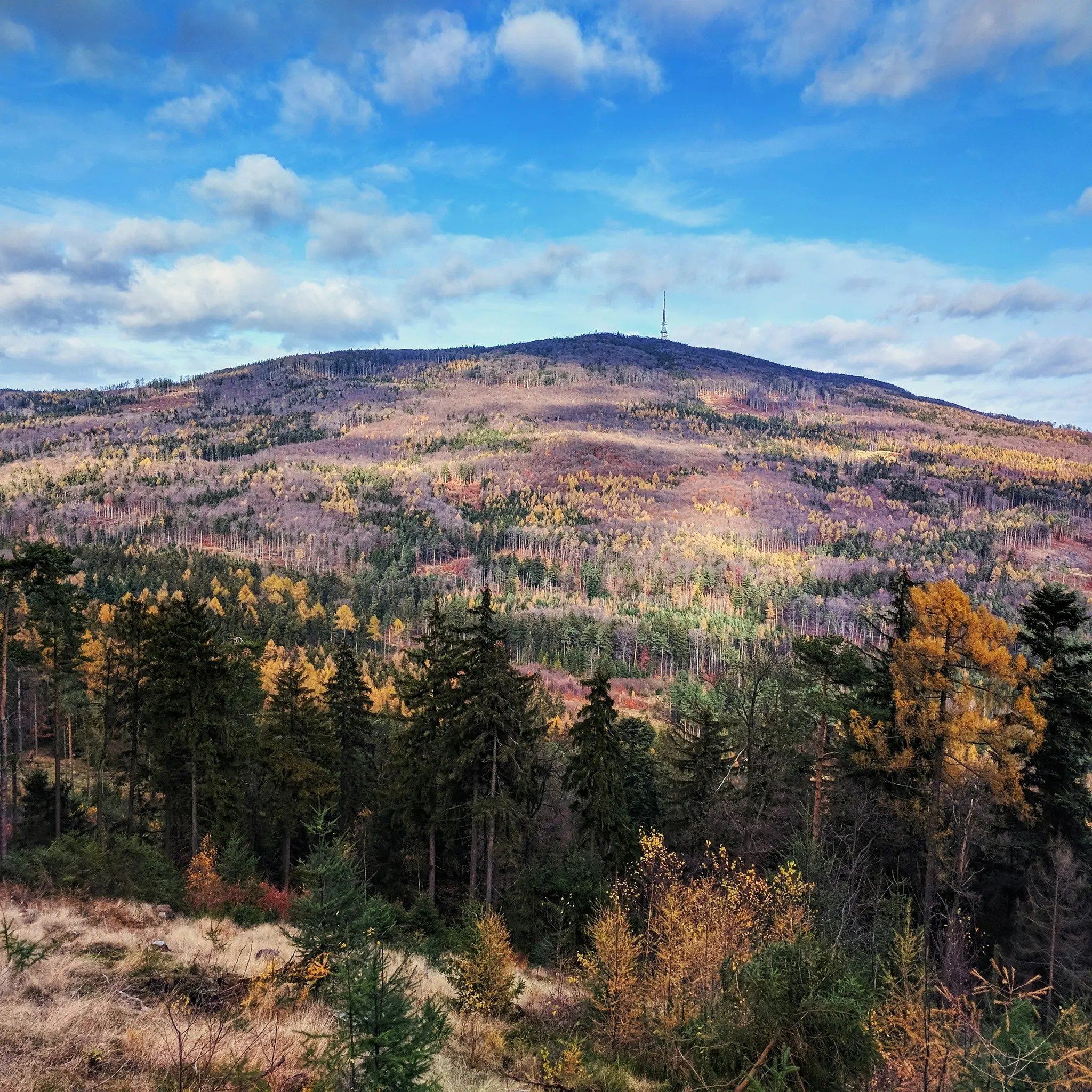 Un'ampia foto paesaggistica di una montagna coperta da alberi autunnali, con una torre di comunicazione visibile sulla sua
