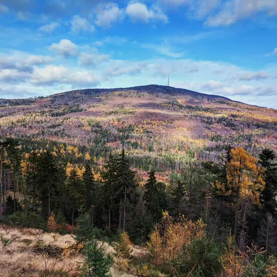 Et bredt landskabsfoto af et bjerg dækket af efterårstræer med et kommunikationstårn synligt på dets fjerne top. Landskabet