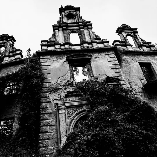 Una foto en blanco y negro, tomada desde un ángulo bajo, de la fachada de un edificio ornamentado y desmoronado, muy cubierto
