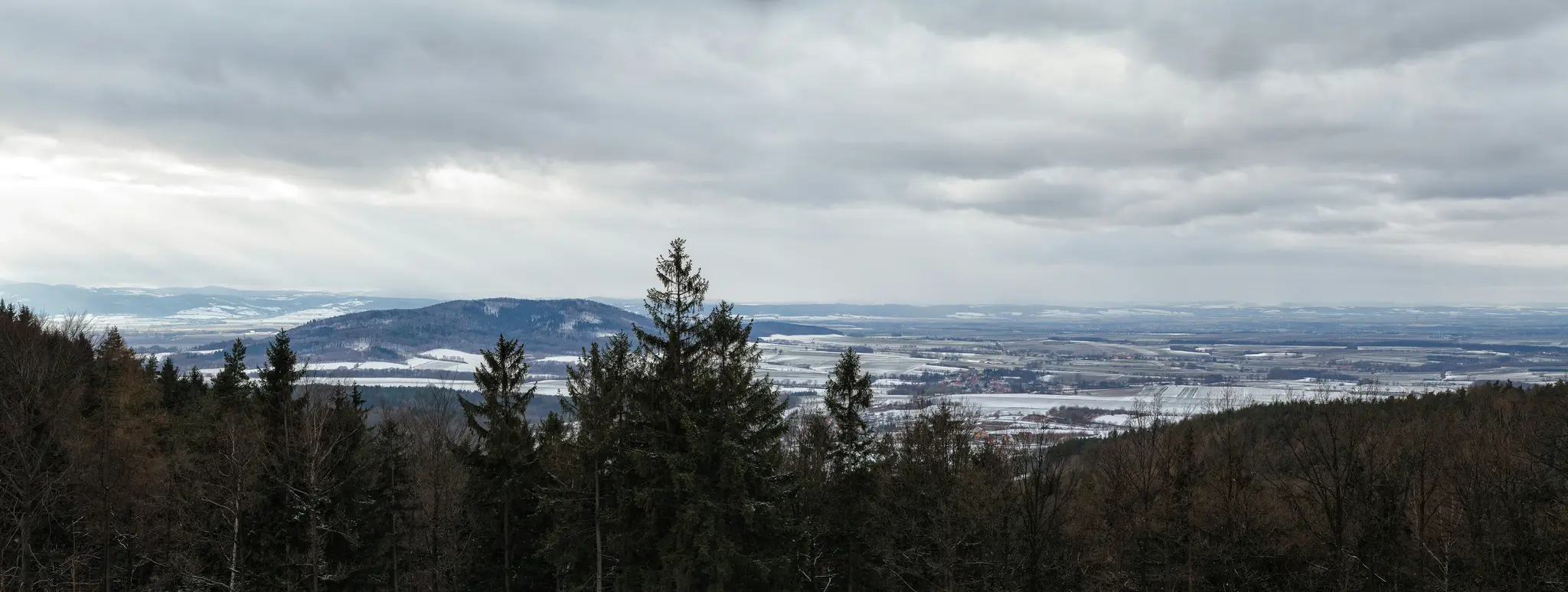 Una toma panorámica amplia de un paisaje invernal con árboles de hoja perenne y caducifolios oscuros en primer plano, con