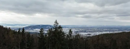 Una toma panorámica amplia de un paisaje invernal con árboles de hoja perenne y caducifolios oscuros en primer plano, con