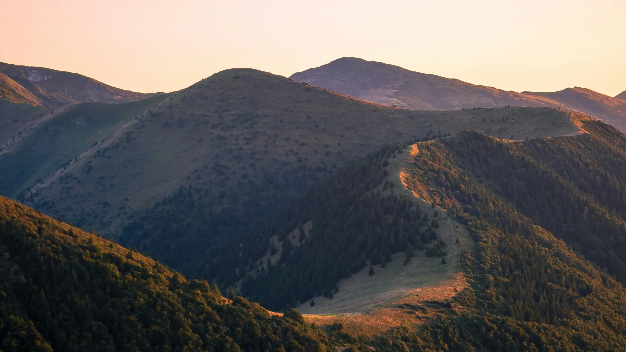 Ein Panoramablick auf eine Bergkette während der goldenen Stunde, mit sonnenbeschienenen Graten, die sich durch dunkelgrüne