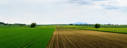 Et bredt panoramabillede af levende grønne og brune landbrugsmarker, der strækker sig mod et fjernt bjerg under en skyet