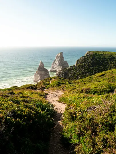 Un sendero de tierra atraviesa una exuberante vegetación costera verde hacia un vasto océano azul. Dos grandes formaciones