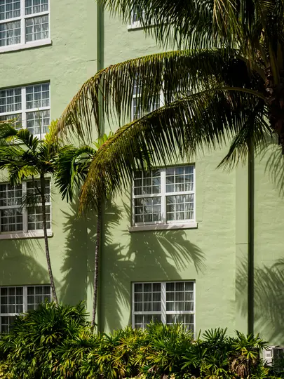 Una facciata di edificio verde chiaro con finestre con cornice bianca. Le fronde delle palme proiettano ombre sul muro e