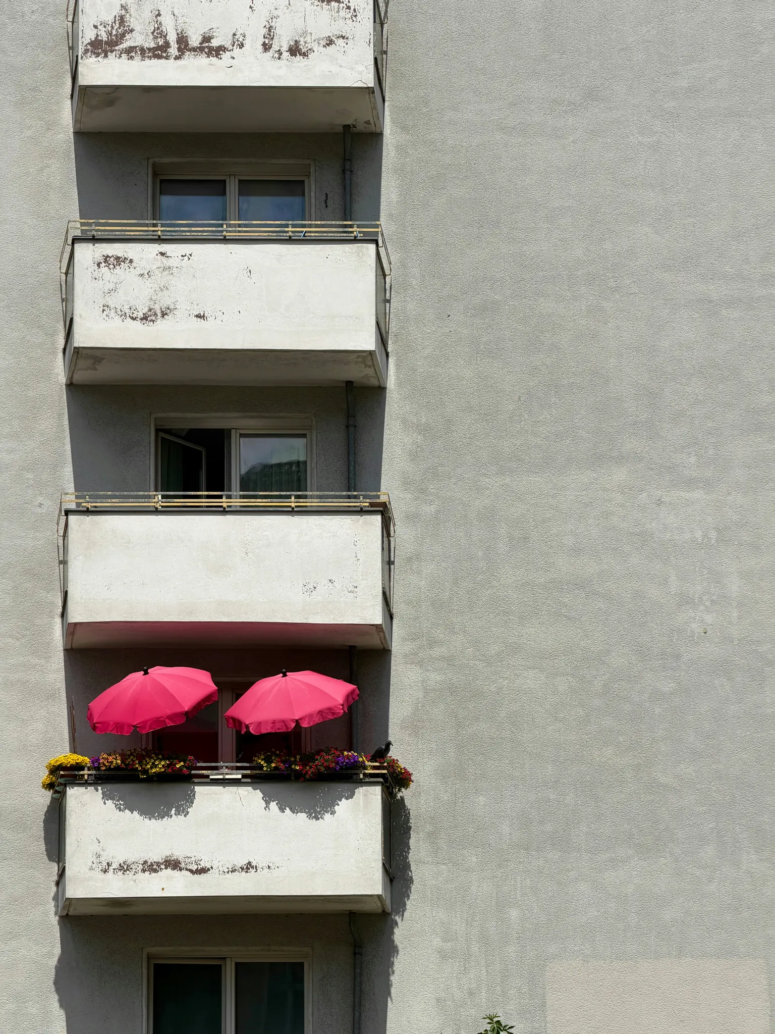 Detail sivobetónovej fasády bytového domu s viacerými balkónmi. Na jednom balkóne sú dva žiarivo ružové...