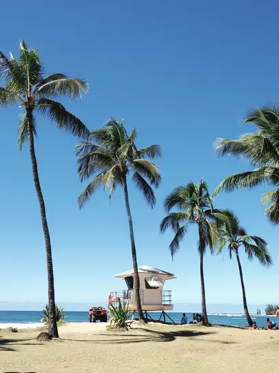 Un torre del bagnino bianca su palafitte si erge su una spiaggia sabbiosa, circondata da alte palme. L'oceano è visibile