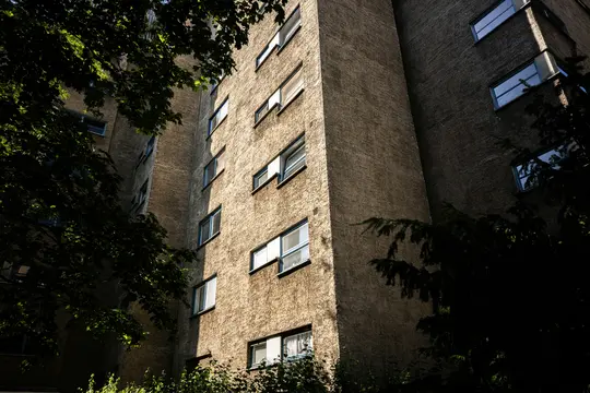 Una ripresa dal basso di un edificio alto e texturizzato con molte finestre, parzialmente coperto da foglie di alberi verde