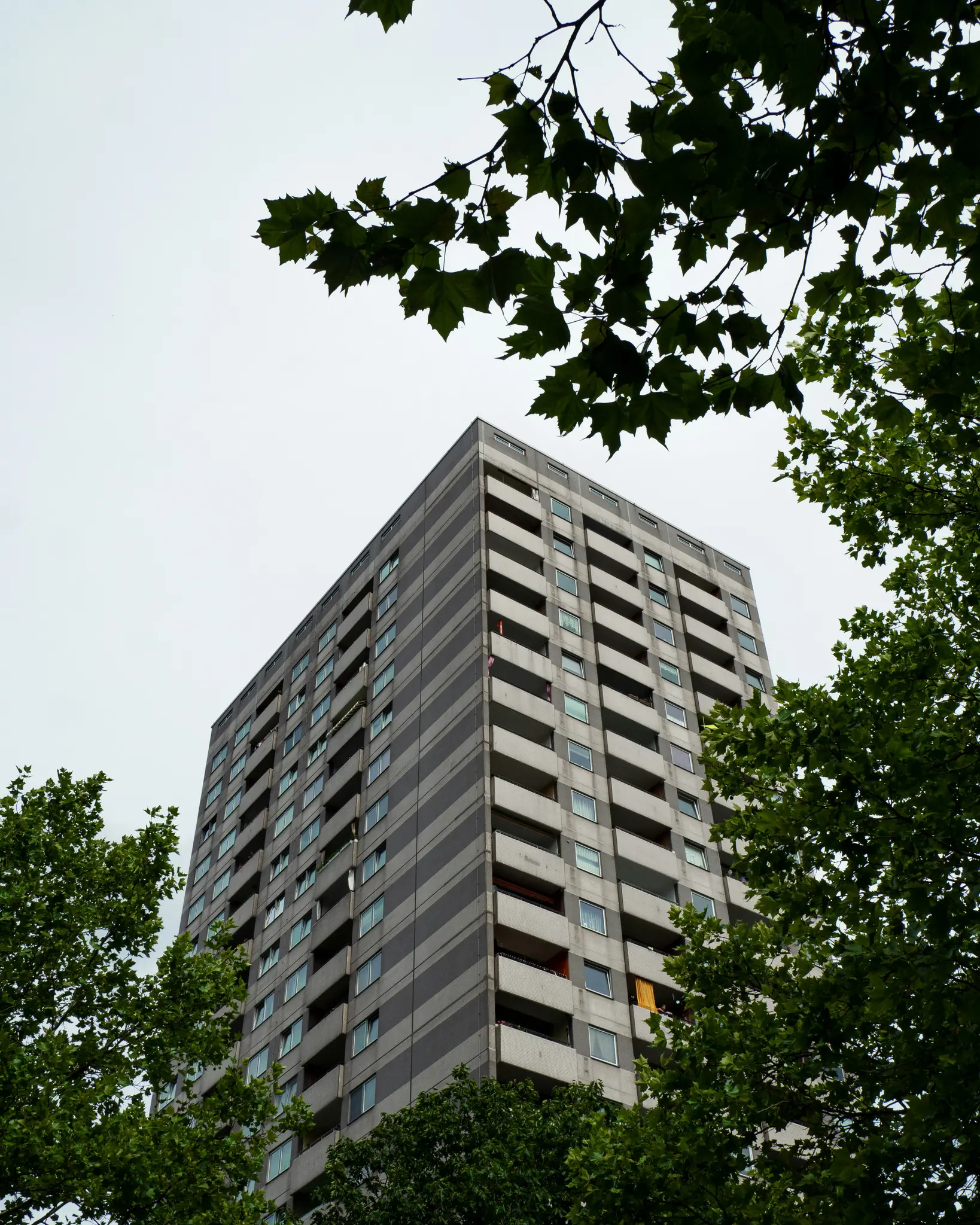 Toma en ángulo bajo de un edificio de apartamentos alto y gris con muchas ventanas y balcones, parcialmente oculto por hojas