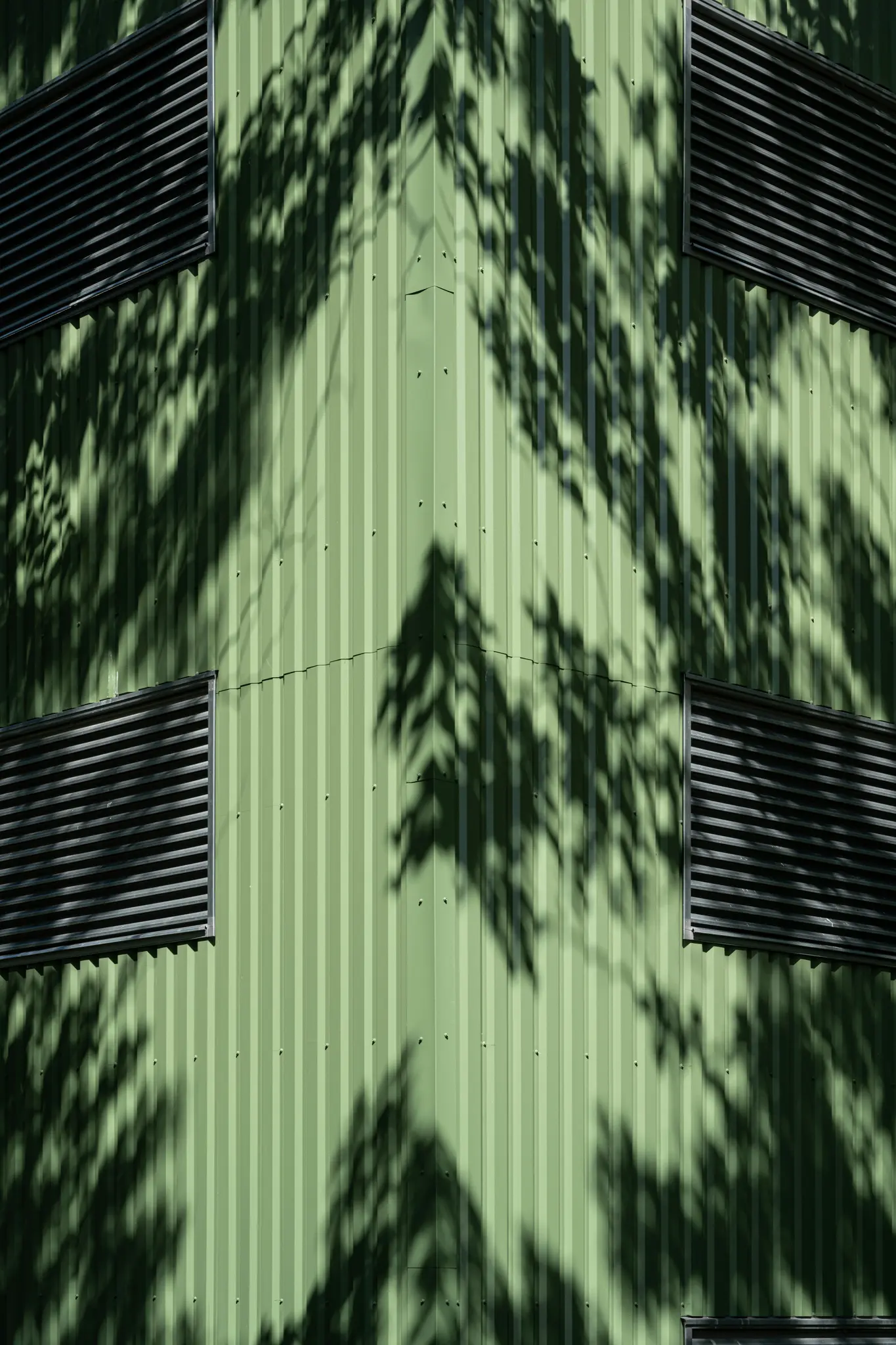 La esquina de un edificio de metal corrugado de color verde claro está cubierta por sombras oscuras e intrincadas de hojas.