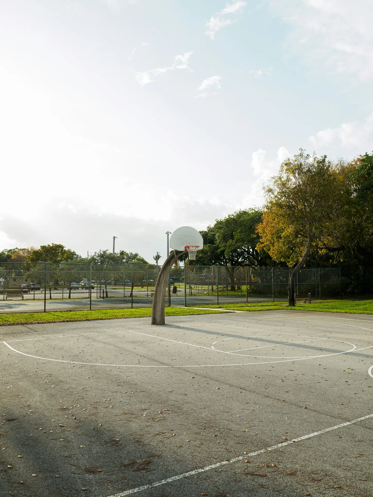 Una cancha de baloncesto exterior vacía con una sola canasta, rodeada de césped verde, árboles y una…