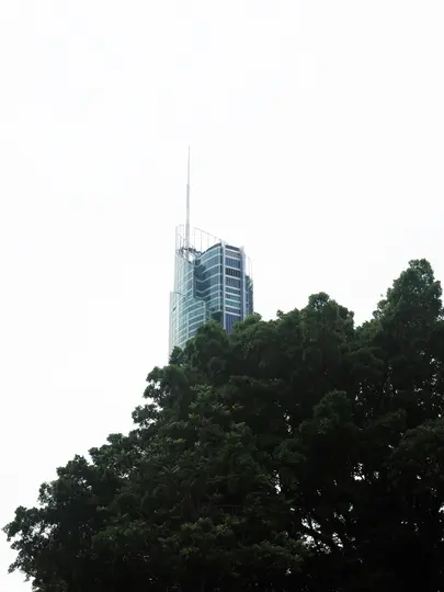 Un grattacielo moderno con una guglia si erge sopra una fitta chioma di alberi verde scuro, su uno sfondo di cielo bianco