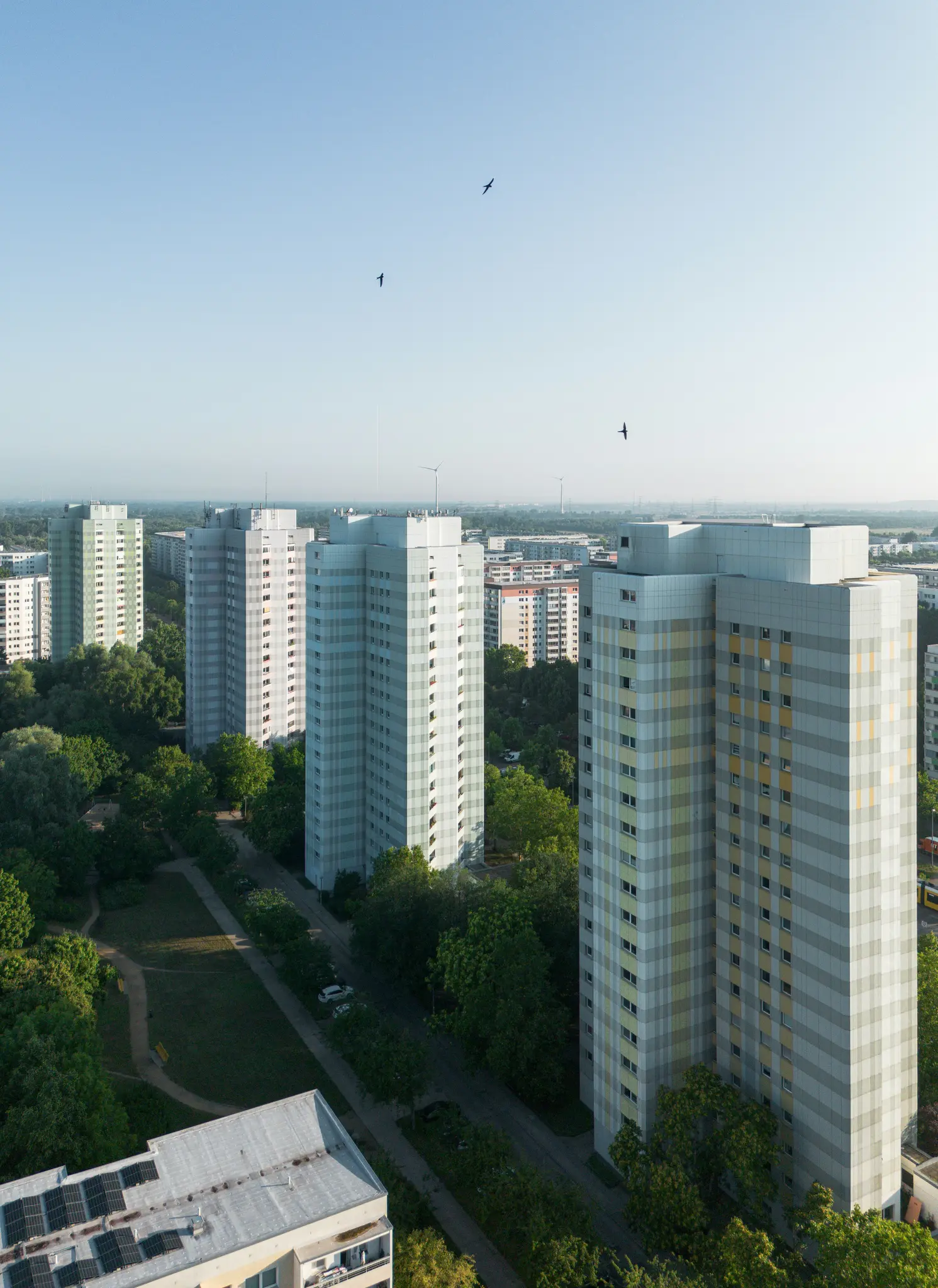 Ilmakuva näyttää useita korkeita, suorakulmaisia kerrostaloja vaaleilla julkisivuilla, joiden välissä on rehevää