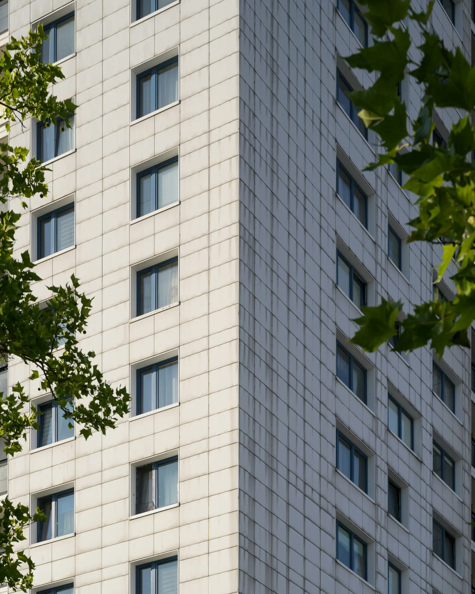 Detail rohu vysokej, svetlosivej budovy s mnohými obdĺžnikovými oknami. Viditeľné sú zelené listy stromov…