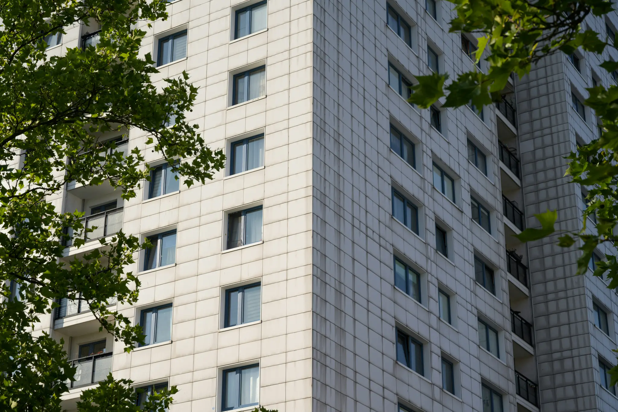 Korkea, vaalea rakennus, jossa on lukuisia ikkunoita ja parvekkeita, ja jota ympäröivät eloisan vihreät puun lehdet.