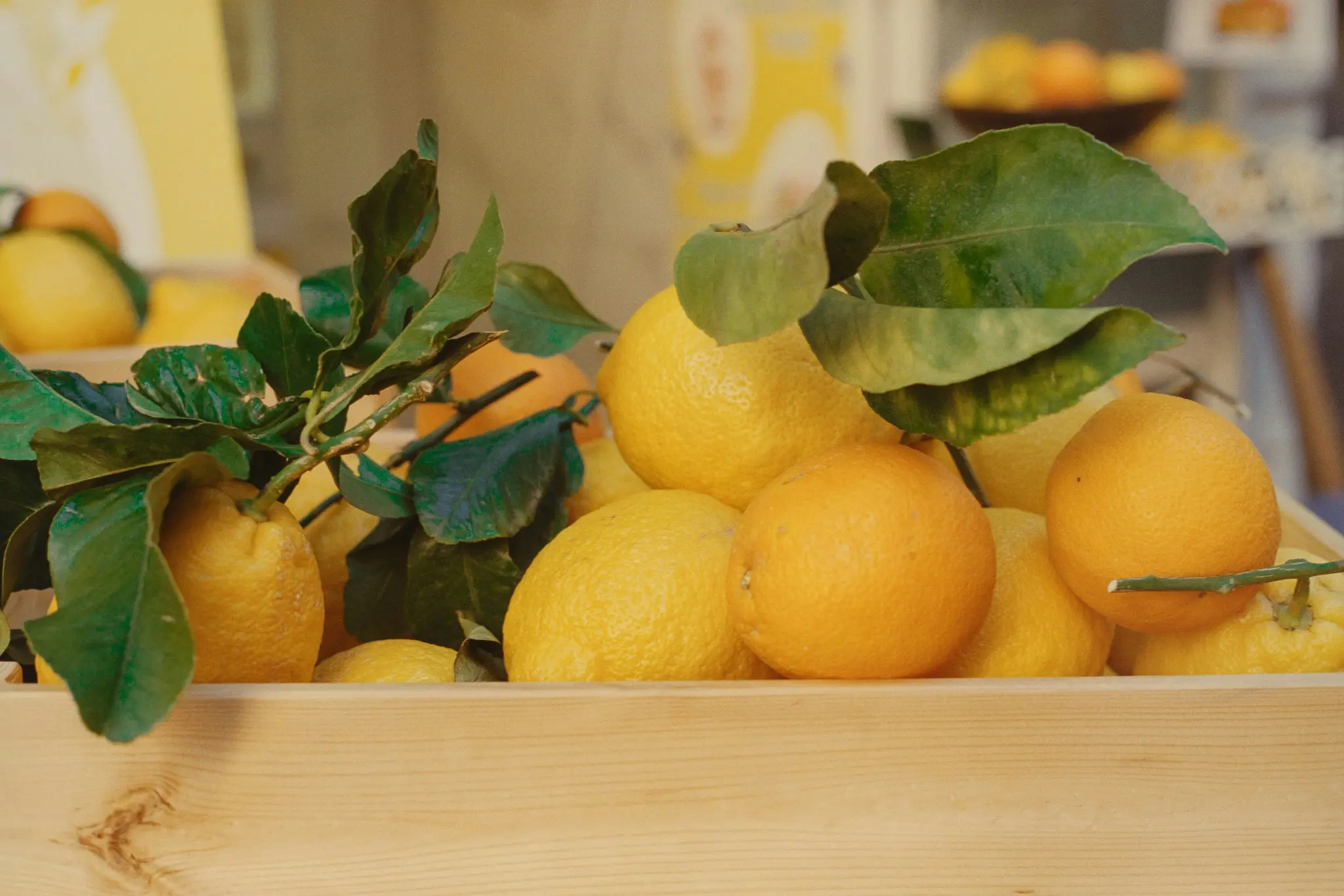Detailní záběr dřevěné bedny plné jasně žlutých citronů a oranžových citrusových plodů, některé se připevněnými zelenými