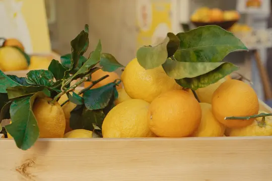 Detailní záběr dřevěné bedny plné jasně žlutých citronů a oranžových citrusových plodů, některé se připevněnými zelenými