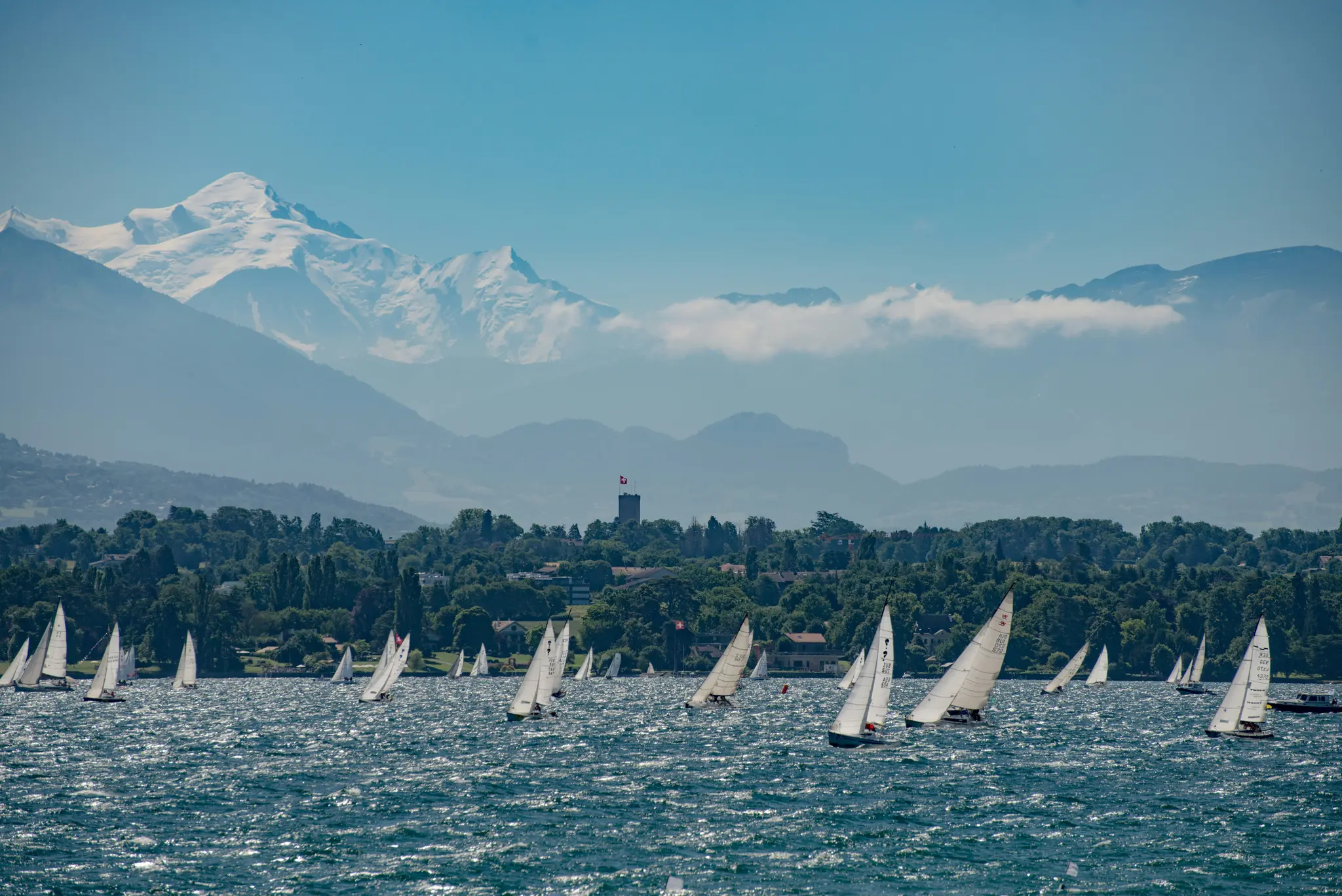 A wide landscape photo shows many white sailboats on a blue, rippling lake. A green, tree-lined shore with buildings is…