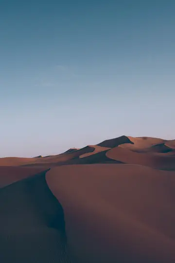 Eine weite Aufnahme einer Wüste mit sanften Sanddünen. Die Dünen werden vom Licht der goldenen Stunde beleuchtet und werfen