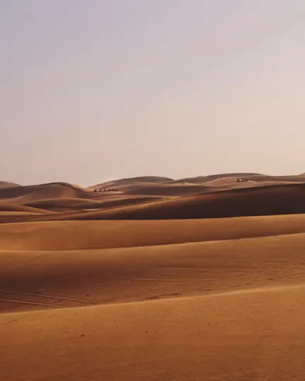 A wide landscape shot of a desert with numerous rolling sand dunes under a pale sky. Two small, distant camel caravans are…
