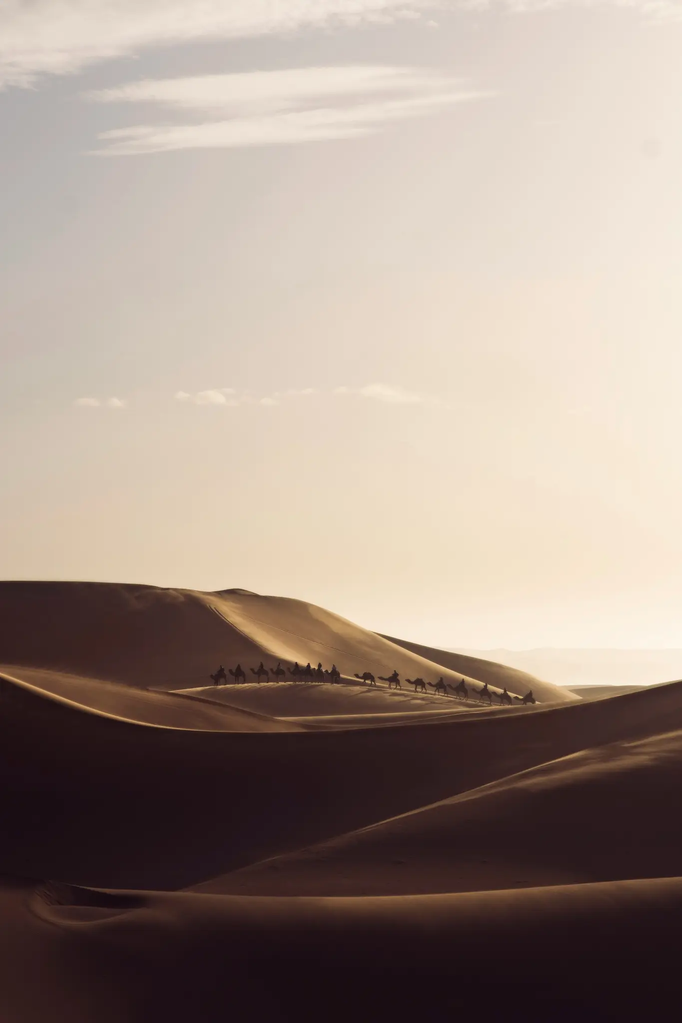 Eine lange Reihe von Kamelsilhouetten mit Reitern durchquert wellige Sanddünen unter einem sanften, blassen Himmel bei