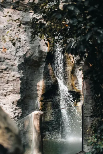 A waterfall flows down a textured, grey and brown rocky wall into a dark pool, framed by blurred green foliage.