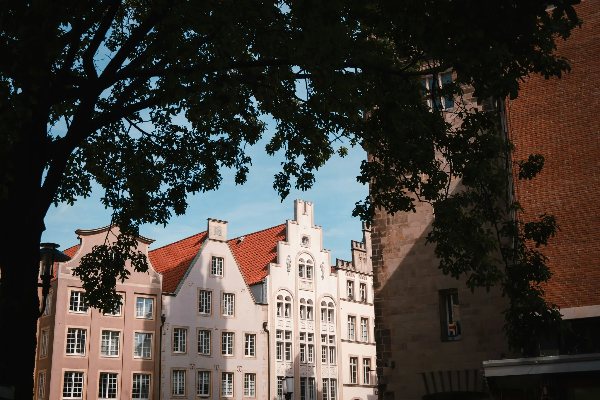 A large, dark tree silhouette frames a row of historic European buildings with red gabled roofs and many windows under a…