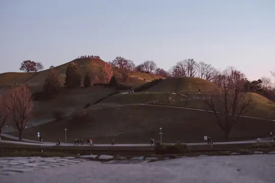A wide landscape photo of a park with rolling green hills and bare trees under a soft, golden hour sky. Many small figures…