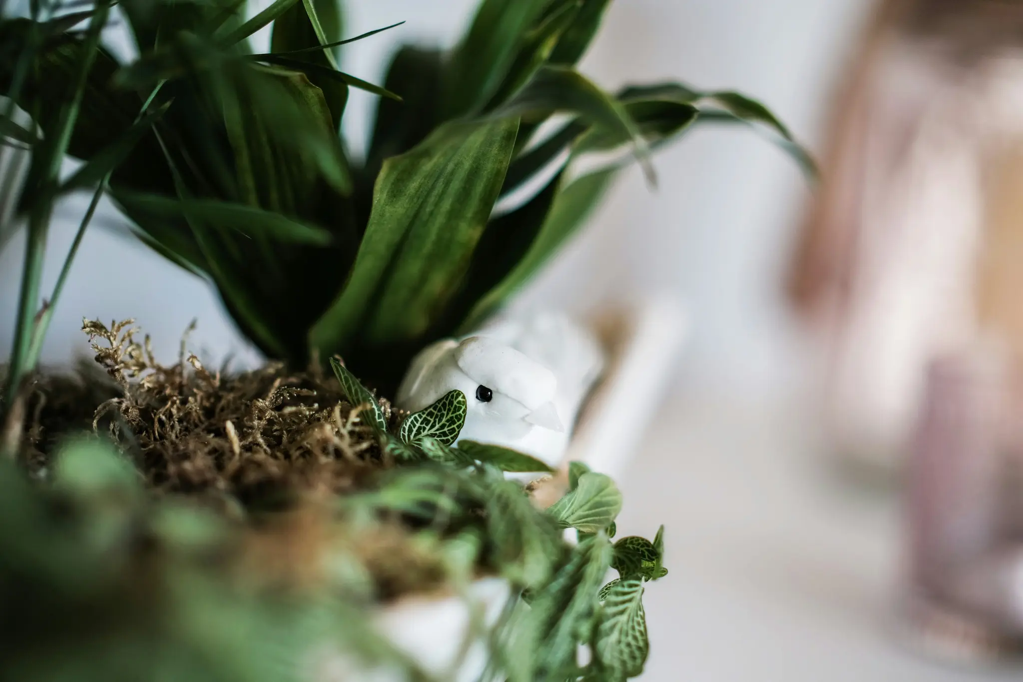 A white bird figurine with a black eye is partially hidden among dark green leaves and brown moss in a close-up shot.