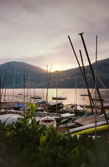 A warm sunset over a harbor filled with sailboats and their tall masts. Mountains rise in the background, reflecting on the…