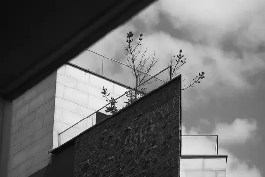 A black and white photo of a modern building with a rooftop garden, featuring bare trees and a cloudy sky.