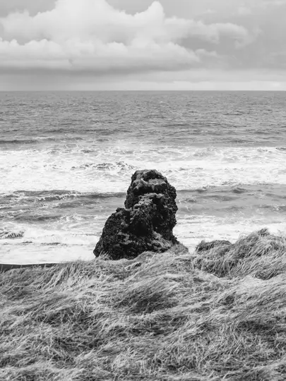 Et sort-hvidt landskabsfoto viser en mørk, mosbegroet klippe i havet, med bølger, der slår omkring den. Højt græs...