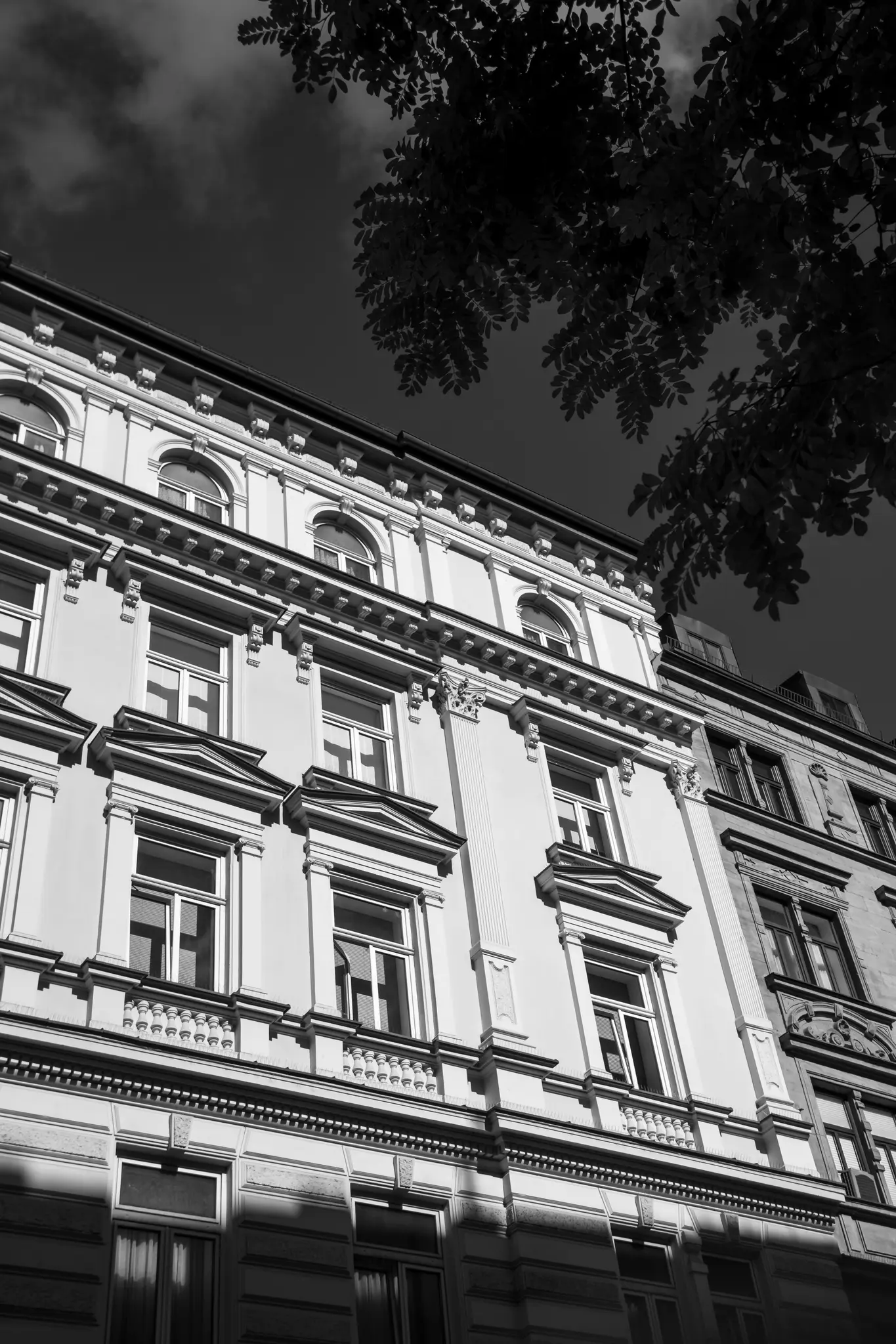 Dramatický černobílý pohled z nízkého úhlu na ozdobnou fasádu budovy s mnoha okny, částečně pokrytou tmavými větvemi stromů.