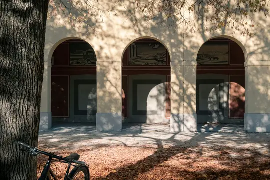 A black bicycle leans against a large tree trunk on the left, with a building featuring three arched entrances in the…